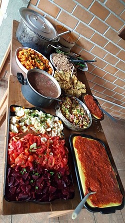 Projeto Alimentação